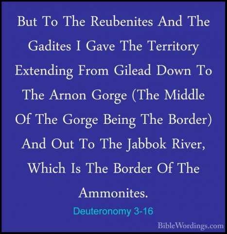 Deuteronomy 3-16 - But To The Reubenites And The Gadites I Gave TBut To The Reubenites And The Gadites I Gave The Territory Extending From Gilead Down To The Arnon Gorge (The Middle Of The Gorge Being The Border) And Out To The Jabbok River, Which Is The Border Of The Ammonites. 