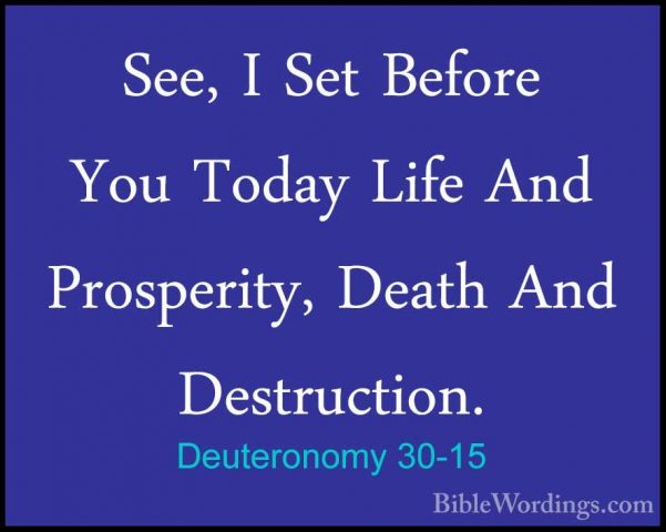 Deuteronomy 30-15 - See, I Set Before You Today Life And ProsperiSee, I Set Before You Today Life And Prosperity, Death And Destruction. 