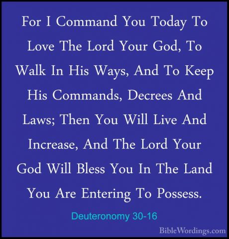 Deuteronomy 30-16 - For I Command You Today To Love The Lord YourFor I Command You Today To Love The Lord Your God, To Walk In His Ways, And To Keep His Commands, Decrees And Laws; Then You Will Live And Increase, And The Lord Your God Will Bless You In The Land You Are Entering To Possess. 