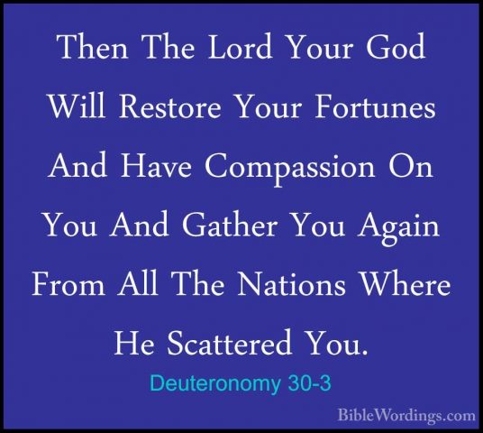 Deuteronomy 30-3 - Then The Lord Your God Will Restore Your FortuThen The Lord Your God Will Restore Your Fortunes And Have Compassion On You And Gather You Again From All The Nations Where He Scattered You. 