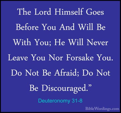 Deuteronomy 31-8 - The Lord Himself Goes Before You And Will Be WThe Lord Himself Goes Before You And Will Be With You; He Will Never Leave You Nor Forsake You. Do Not Be Afraid; Do Not Be Discouraged." 