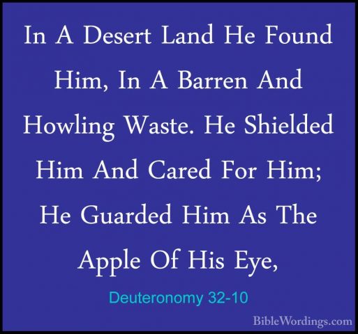 Deuteronomy 32-10 - In A Desert Land He Found Him, In A Barren AnIn A Desert Land He Found Him, In A Barren And Howling Waste. He Shielded Him And Cared For Him; He Guarded Him As The Apple Of His Eye, 
