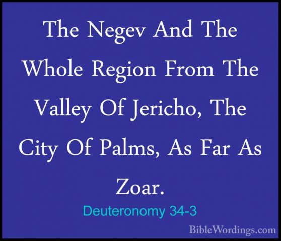 Deuteronomy 34-3 - The Negev And The Whole Region From The ValleyThe Negev And The Whole Region From The Valley Of Jericho, The City Of Palms, As Far As Zoar. 