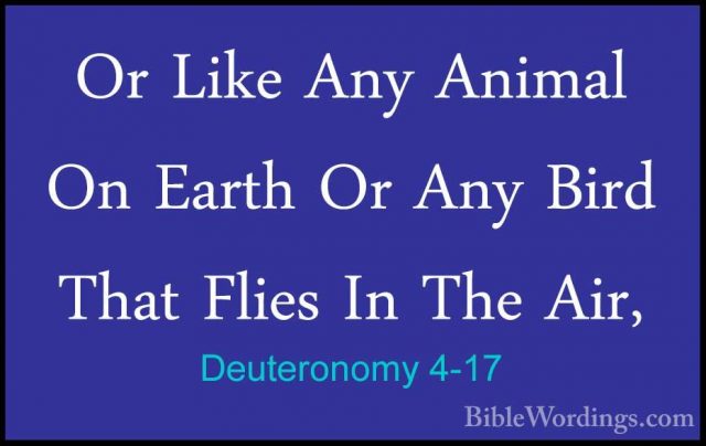 Deuteronomy 4-17 - Or Like Any Animal On Earth Or Any Bird That FOr Like Any Animal On Earth Or Any Bird That Flies In The Air, 