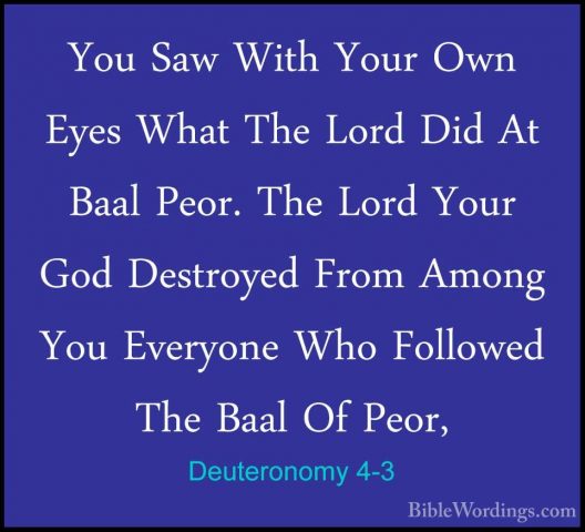 Deuteronomy 4-3 - You Saw With Your Own Eyes What The Lord Did AtYou Saw With Your Own Eyes What The Lord Did At Baal Peor. The Lord Your God Destroyed From Among You Everyone Who Followed The Baal Of Peor, 