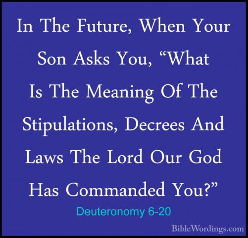 Deuteronomy 6-20 - In The Future, When Your Son Asks You, "What IIn The Future, When Your Son Asks You, "What Is The Meaning Of The Stipulations, Decrees And Laws The Lord Our God Has Commanded You?" 