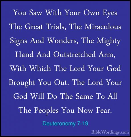 Deuteronomy 7-19 - You Saw With Your Own Eyes The Great Trials, TYou Saw With Your Own Eyes The Great Trials, The Miraculous Signs And Wonders, The Mighty Hand And Outstretched Arm, With Which The Lord Your God Brought You Out. The Lord Your God Will Do The Same To All The Peoples You Now Fear. 