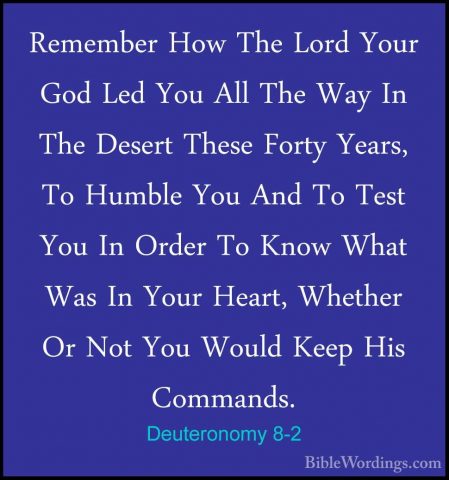 Deuteronomy 8-2 - Remember How The Lord Your God Led You All TheRemember How The Lord Your God Led You All The Way In The Desert These Forty Years, To Humble You And To Test You In Order To Know What Was In Your Heart, Whether Or Not You Would Keep His Commands. 