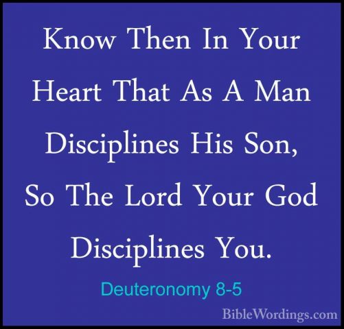 Deuteronomy 8-5 - Know Then In Your Heart That As A Man DisciplinKnow Then In Your Heart That As A Man Disciplines His Son, So The Lord Your God Disciplines You. 