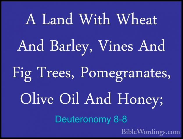 Deuteronomy 8-8 - A Land With Wheat And Barley, Vines And Fig TreA Land With Wheat And Barley, Vines And Fig Trees, Pomegranates, Olive Oil And Honey; 