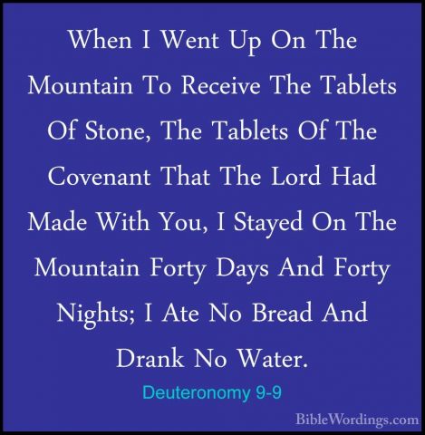 Deuteronomy 9-9 - When I Went Up On The Mountain To Receive The TWhen I Went Up On The Mountain To Receive The Tablets Of Stone, The Tablets Of The Covenant That The Lord Had Made With You, I Stayed On The Mountain Forty Days And Forty Nights; I Ate No Bread And Drank No Water. 