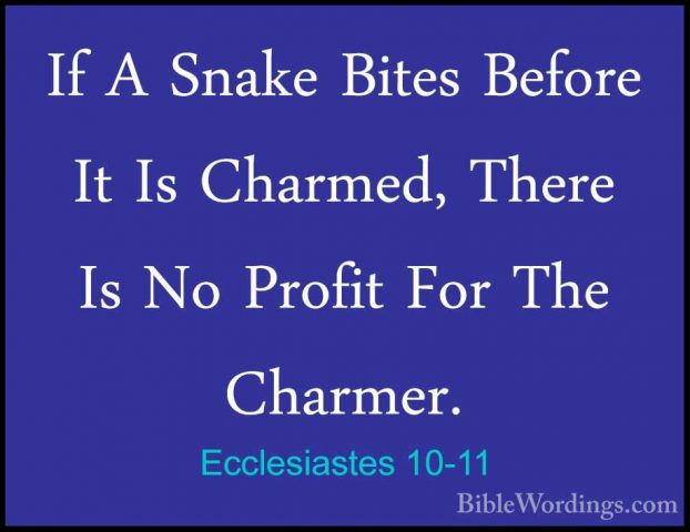 Ecclesiastes 10-11 - If A Snake Bites Before It Is Charmed, ThereIf A Snake Bites Before It Is Charmed, There Is No Profit For The Charmer. 
