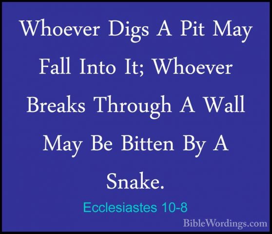 Ecclesiastes 10-8 - Whoever Digs A Pit May Fall Into It; WhoeverWhoever Digs A Pit May Fall Into It; Whoever Breaks Through A Wall May Be Bitten By A Snake. 