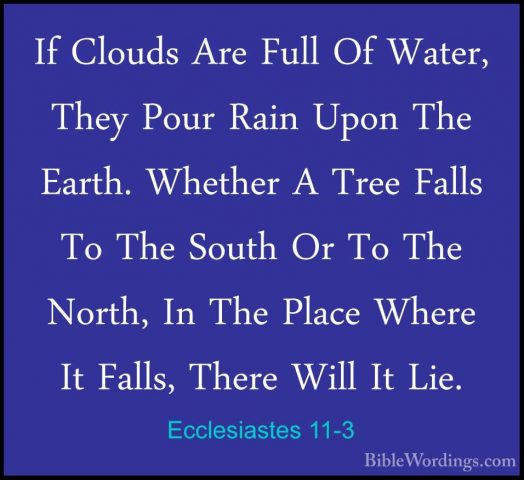 Ecclesiastes 11-3 - If Clouds Are Full Of Water, They Pour Rain UIf Clouds Are Full Of Water, They Pour Rain Upon The Earth. Whether A Tree Falls To The South Or To The North, In The Place Where It Falls, There Will It Lie. 