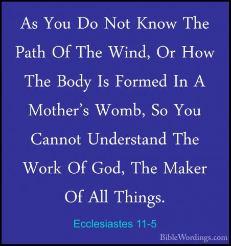Ecclesiastes 11-5 - As You Do Not Know The Path Of The Wind, Or HAs You Do Not Know The Path Of The Wind, Or How The Body Is Formed In A Mother's Womb, So You Cannot Understand The Work Of God, The Maker Of All Things. 