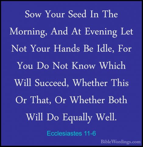 Ecclesiastes 11-6 - Sow Your Seed In The Morning, And At EveningSow Your Seed In The Morning, And At Evening Let Not Your Hands Be Idle, For You Do Not Know Which Will Succeed, Whether This Or That, Or Whether Both Will Do Equally Well. 