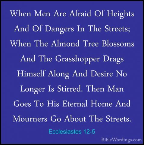 Ecclesiastes 12-5 - When Men Are Afraid Of Heights And Of DangersWhen Men Are Afraid Of Heights And Of Dangers In The Streets; When The Almond Tree Blossoms And The Grasshopper Drags Himself Along And Desire No Longer Is Stirred. Then Man Goes To His Eternal Home And Mourners Go About The Streets. 