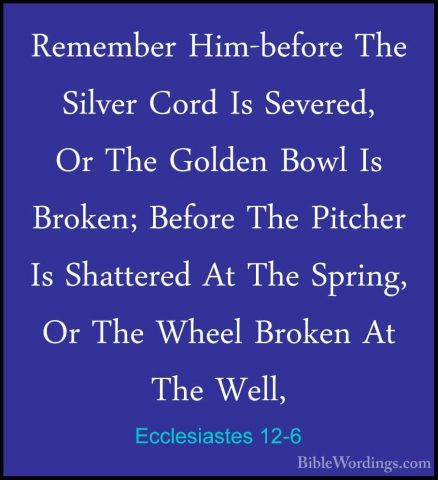 Ecclesiastes 12-6 - Remember Him-before The Silver Cord Is SevereRemember Him-before The Silver Cord Is Severed, Or The Golden Bowl Is Broken; Before The Pitcher Is Shattered At The Spring, Or The Wheel Broken At The Well, 