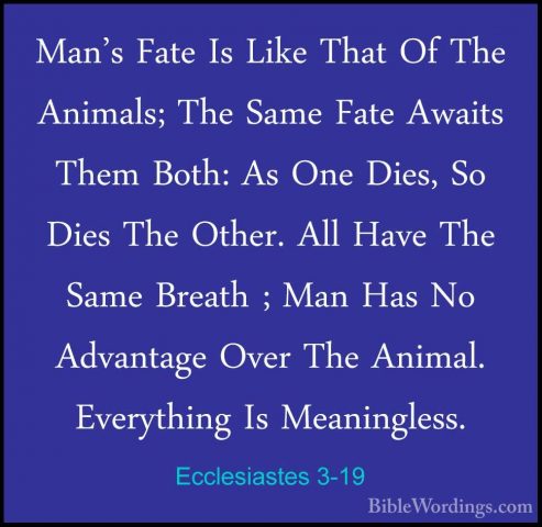 Ecclesiastes 3-19 - Man's Fate Is Like That Of The Animals; The SMan's Fate Is Like That Of The Animals; The Same Fate Awaits Them Both: As One Dies, So Dies The Other. All Have The Same Breath ; Man Has No Advantage Over The Animal. Everything Is Meaningless. 