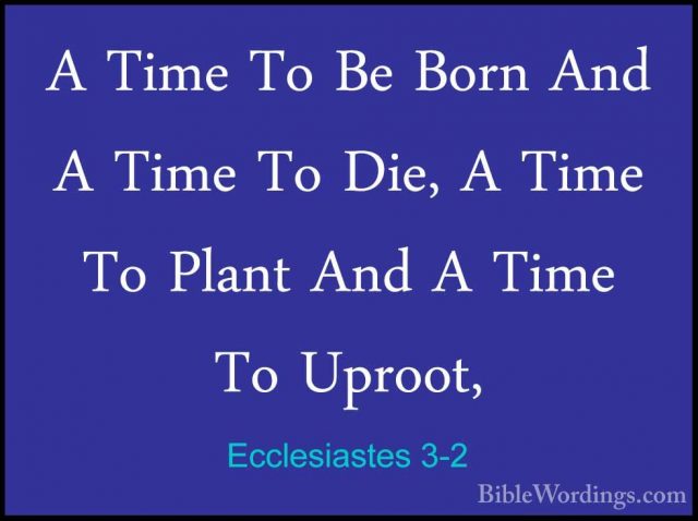 Ecclesiastes 3-2 - A Time To Be Born And A Time To Die, A Time ToA Time To Be Born And A Time To Die, A Time To Plant And A Time To Uproot, 