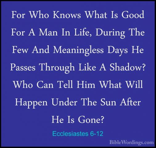Ecclesiastes 6-12 - For Who Knows What Is Good For A Man In Life,For Who Knows What Is Good For A Man In Life, During The Few And Meaningless Days He Passes Through Like A Shadow? Who Can Tell Him What Will Happen Under The Sun After He Is Gone?