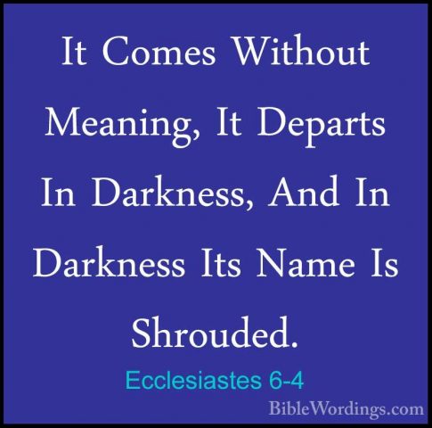 Ecclesiastes 6-4 - It Comes Without Meaning, It Departs In DarkneIt Comes Without Meaning, It Departs In Darkness, And In Darkness Its Name Is Shrouded. 