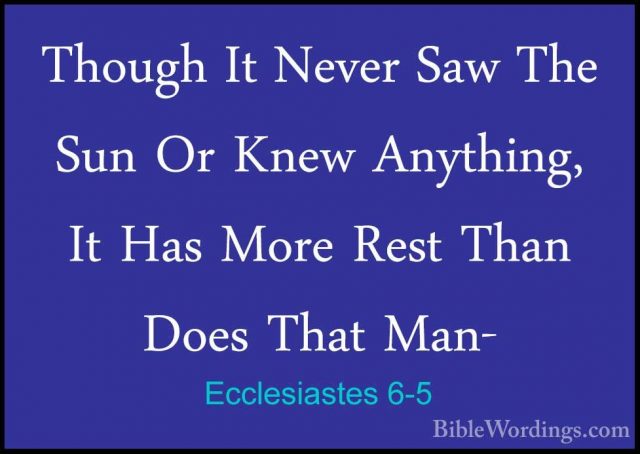 Ecclesiastes 6-5 - Though It Never Saw The Sun Or Knew Anything,Though It Never Saw The Sun Or Knew Anything, It Has More Rest Than Does That Man- 