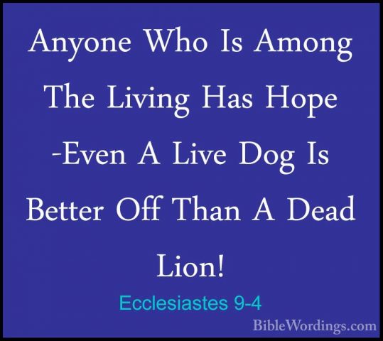 Ecclesiastes 9-4 - Anyone Who Is Among The Living Has Hope -EvenAnyone Who Is Among The Living Has Hope -Even A Live Dog Is Better Off Than A Dead Lion! 