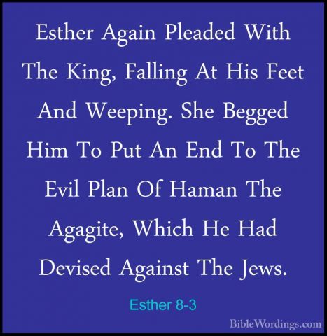 Esther 8-3 - Esther Again Pleaded With The King, Falling At His FEsther Again Pleaded With The King, Falling At His Feet And Weeping. She Begged Him To Put An End To The Evil Plan Of Haman The Agagite, Which He Had Devised Against The Jews. 