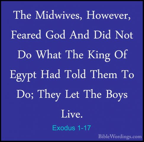 Exodus 1-17 - The Midwives, However, Feared God And Did Not Do WhThe Midwives, However, Feared God And Did Not Do What The King Of Egypt Had Told Them To Do; They Let The Boys Live. 