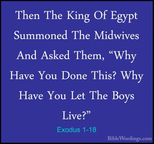 Exodus 1-18 - Then The King Of Egypt Summoned The Midwives And AsThen The King Of Egypt Summoned The Midwives And Asked Them, "Why Have You Done This? Why Have You Let The Boys Live?" 