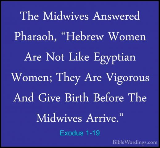 Exodus 1-19 - The Midwives Answered Pharaoh, "Hebrew Women Are NoThe Midwives Answered Pharaoh, "Hebrew Women Are Not Like Egyptian Women; They Are Vigorous And Give Birth Before The Midwives Arrive." 