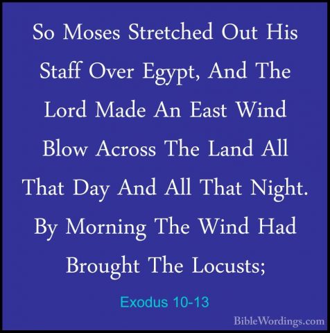 Exodus 10-13 - So Moses Stretched Out His Staff Over Egypt, And TSo Moses Stretched Out His Staff Over Egypt, And The Lord Made An East Wind Blow Across The Land All That Day And All That Night. By Morning The Wind Had Brought The Locusts; 