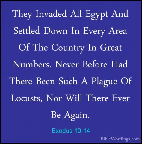 Exodus 10-14 - They Invaded All Egypt And Settled Down In Every AThey Invaded All Egypt And Settled Down In Every Area Of The Country In Great Numbers. Never Before Had There Been Such A Plague Of Locusts, Nor Will There Ever Be Again. 