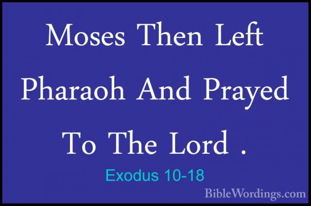 Exodus 10-18 - Moses Then Left Pharaoh And Prayed To The Lord .Moses Then Left Pharaoh And Prayed To The Lord . 