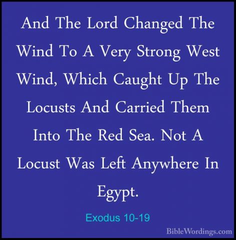 Exodus 10-19 - And The Lord Changed The Wind To A Very Strong WesAnd The Lord Changed The Wind To A Very Strong West Wind, Which Caught Up The Locusts And Carried Them Into The Red Sea. Not A Locust Was Left Anywhere In Egypt. 