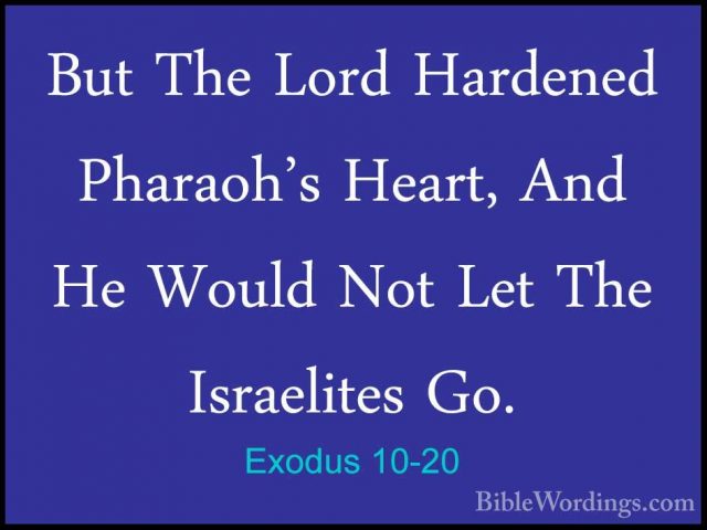 Exodus 10-20 - But The Lord Hardened Pharaoh's Heart, And He WoulBut The Lord Hardened Pharaoh's Heart, And He Would Not Let The Israelites Go. 