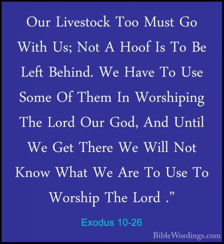 Exodus 10-26 - Our Livestock Too Must Go With Us; Not A Hoof Is TOur Livestock Too Must Go With Us; Not A Hoof Is To Be Left Behind. We Have To Use Some Of Them In Worshiping The Lord Our God, And Until We Get There We Will Not Know What We Are To Use To Worship The Lord ." 