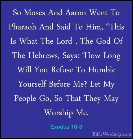 Exodus 10-3 - So Moses And Aaron Went To Pharaoh And Said To Him,So Moses And Aaron Went To Pharaoh And Said To Him, "This Is What The Lord , The God Of The Hebrews, Says: 'How Long Will You Refuse To Humble Yourself Before Me? Let My People Go, So That They May Worship Me. 