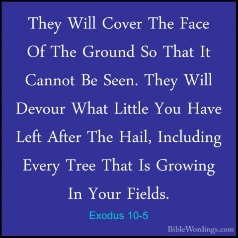 Exodus 10-5 - They Will Cover The Face Of The Ground So That It CThey Will Cover The Face Of The Ground So That It Cannot Be Seen. They Will Devour What Little You Have Left After The Hail, Including Every Tree That Is Growing In Your Fields. 