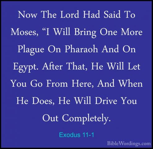 Exodus 11-1 - Now The Lord Had Said To Moses, "I Will Bring One MNow The Lord Had Said To Moses, "I Will Bring One More Plague On Pharaoh And On Egypt. After That, He Will Let You Go From Here, And When He Does, He Will Drive You Out Completely. 
