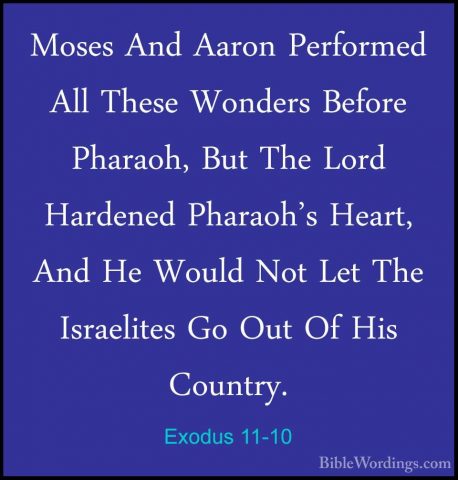 Exodus 11-10 - Moses And Aaron Performed All These Wonders BeforeMoses And Aaron Performed All These Wonders Before Pharaoh, But The Lord Hardened Pharaoh's Heart, And He Would Not Let The Israelites Go Out Of His Country.