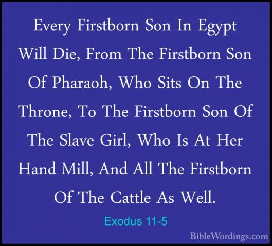 Exodus 11-5 - Every Firstborn Son In Egypt Will Die, From The FirEvery Firstborn Son In Egypt Will Die, From The Firstborn Son Of Pharaoh, Who Sits On The Throne, To The Firstborn Son Of The Slave Girl, Who Is At Her Hand Mill, And All The Firstborn Of The Cattle As Well. 