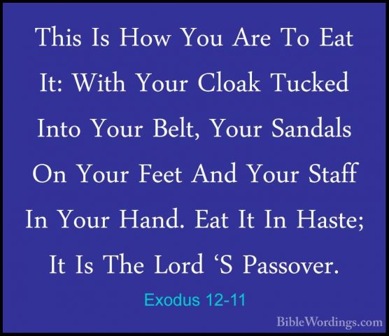 Exodus 12-11 - This Is How You Are To Eat It: With Your Cloak TucThis Is How You Are To Eat It: With Your Cloak Tucked Into Your Belt, Your Sandals On Your Feet And Your Staff In Your Hand. Eat It In Haste; It Is The Lord 'S Passover. 