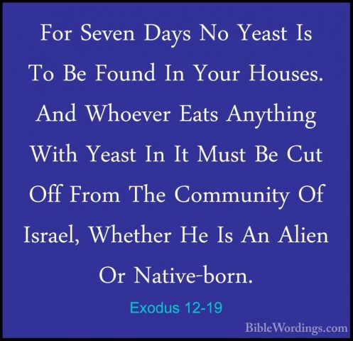 Exodus 12-19 - For Seven Days No Yeast Is To Be Found In Your HouFor Seven Days No Yeast Is To Be Found In Your Houses. And Whoever Eats Anything With Yeast In It Must Be Cut Off From The Community Of Israel, Whether He Is An Alien Or Native-born. 
