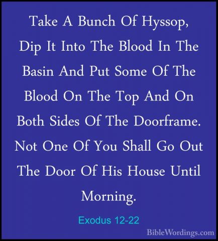 Exodus 12-22 - Take A Bunch Of Hyssop, Dip It Into The Blood In TTake A Bunch Of Hyssop, Dip It Into The Blood In The Basin And Put Some Of The Blood On The Top And On Both Sides Of The Doorframe. Not One Of You Shall Go Out The Door Of His House Until Morning. 