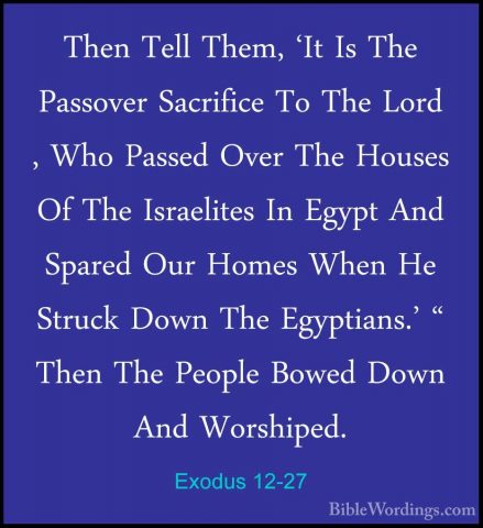Exodus 12-27 - Then Tell Them, 'It Is The Passover Sacrifice To TThen Tell Them, 'It Is The Passover Sacrifice To The Lord , Who Passed Over The Houses Of The Israelites In Egypt And Spared Our Homes When He Struck Down The Egyptians.' " Then The People Bowed Down And Worshiped. 