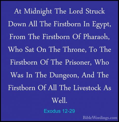 Exodus 12-29 - At Midnight The Lord Struck Down All The FirstbornAt Midnight The Lord Struck Down All The Firstborn In Egypt, From The Firstborn Of Pharaoh, Who Sat On The Throne, To The Firstborn Of The Prisoner, Who Was In The Dungeon, And The Firstborn Of All The Livestock As Well. 