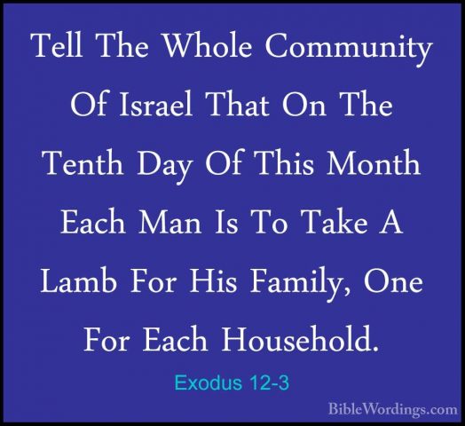 Exodus 12-3 - Tell The Whole Community Of Israel That On The TentTell The Whole Community Of Israel That On The Tenth Day Of This Month Each Man Is To Take A Lamb For His Family, One For Each Household. 