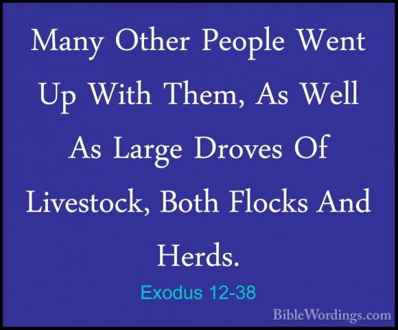 Exodus 12-38 - Many Other People Went Up With Them, As Well As LaMany Other People Went Up With Them, As Well As Large Droves Of Livestock, Both Flocks And Herds. 